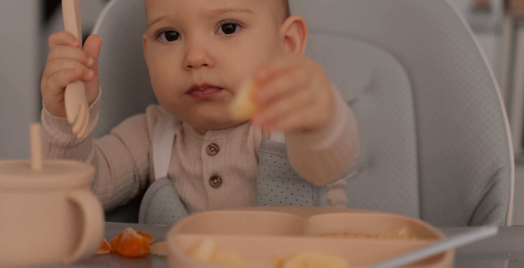 Primeros Alimentos