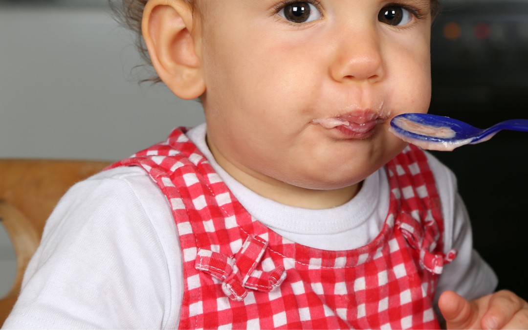 Papilla como alimentación complementaria